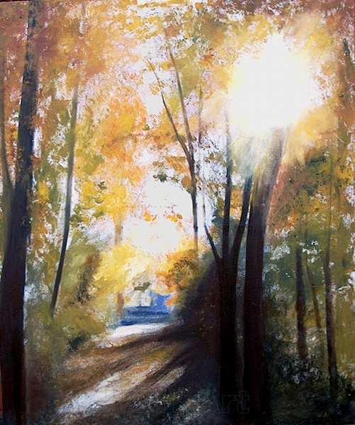 dette er et maleri på bestilling. En skovvej i modlys om efteråret. Stammernes mørke som kontrast til solen gennem trækronerne