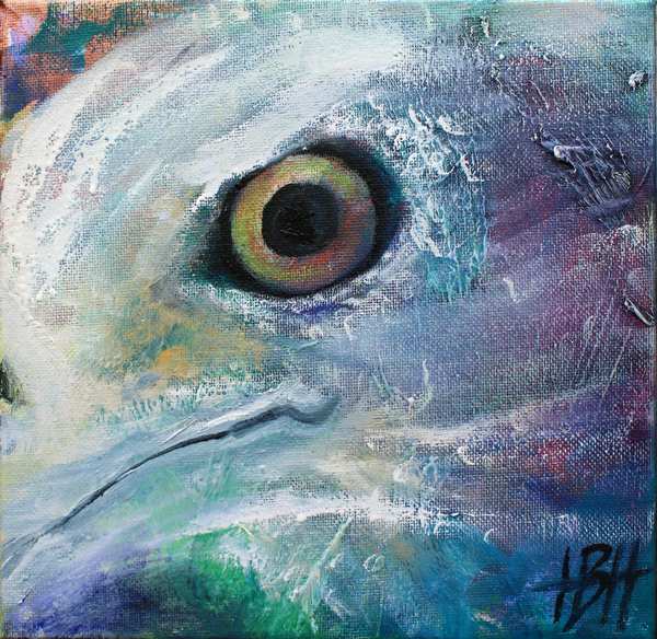 Lille maleri af ørnens øje, som kigger ud af maleriet