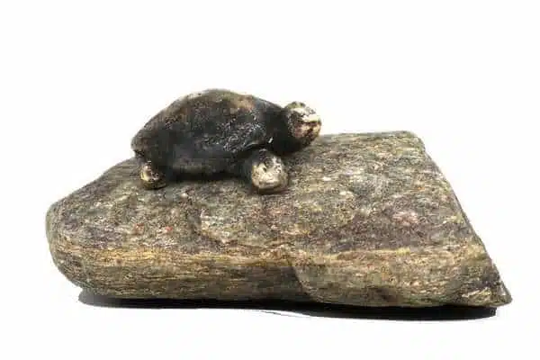 Skildpadde i massiv bronze - unika skulptur