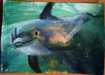 artmoney delfin