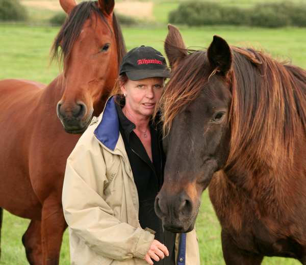 Heste som k&aelig;ledyr