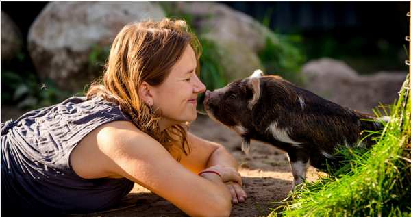 K&aelig;ledyr telepati